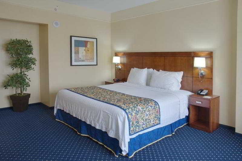 Courtyard By Marriott Houston Galleria Pokoj fotografie
